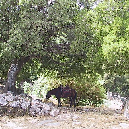 Hotel Agnanti Agios Konstantinos  Bagian luar foto