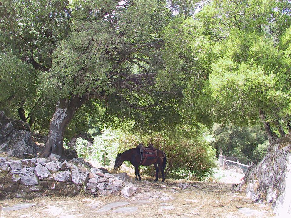 Hotel Agnanti Agios Konstantinos  Bagian luar foto